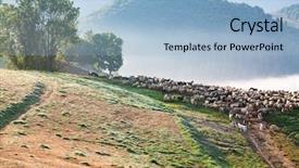  Presentation with mountains - PPT theme featuring idyllic landscape with sheep farm background and a light blue colored foreground
