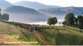  Presentation with transylvania - Cool new PPT theme with idyllic landscape with sheep farm backdrop and a tawny brown colored foreground