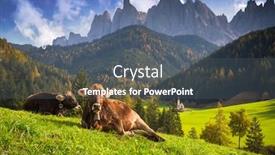  Presentation with meadow - Presentation design enhanced with idyllic-meadow-with-cows background and a dark gray colored foreground