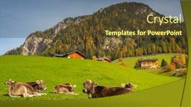  Presentation with meadow - Cool new slides with idyllic-meadow-with-cows backdrop and a tawny brown colored foreground