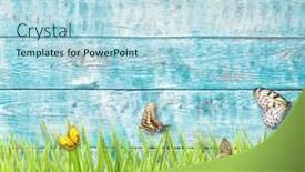  Presentation with butterflies - Cool new slide set with idyllic spring meadow with butterflies with old wooden planks on background spring concept with copyspace backdrop and a light blue colored foreground