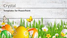  Presentation with butterflies - Presentation design enhanced with idyllic spring meadow with easter eggs and butterflies with old wooden planks on background spring concept with copyspace background and a white colored foreground