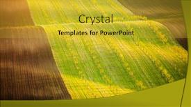  Presentation with minimalistic - Amazing PPT theme having idyllic-sunlight-on-the-wavy backdrop and a gold colored foreground