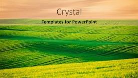  Presentation with minimalistic - Slide deck consisting of idyllic-sunlight-on-the-wavy background and a coral colored foreground