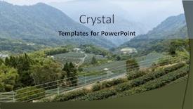  Presentation with tea plantation - 