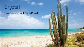  Presentation with white sand - PPT theme consisting of idyllic-tropical-beach-with-white background and a light blue colored foreground