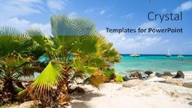  Presentation with sand ocean - Presentation theme featuring idyllic-tropical-beach-with-white background and a light blue colored foreground