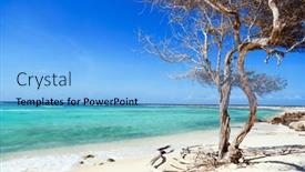  Presentation with turquoise beach - PPT theme with idyllic-tropical-beach-with-white background and a light blue colored foreground