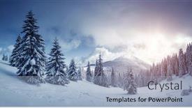  Presentation with winter scene - Slide set enhanced with idyllic-view-of-spruces-covered background and a light blue colored foreground