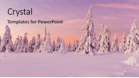  Presentation with image resolution - Audience pleasing slides consisting of idyllic winter landscape with spruce backdrop and a lemonade colored foreground