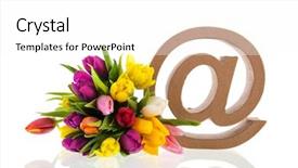  Presentation with lilac flowers bunch over wood - Presentation design consisting of ied - e-sign with bouquet flowers isolated background and a white colored foreground