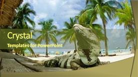  Presentation with mexico cancun - Amazing presentation theme having iguana on the caribbean beach backdrop and a tawny brown colored foreground