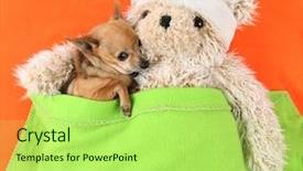  Presentation with sick dog - PPT theme featuring ill dog - photo of a tiny cute background and a yellow colored foreground