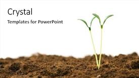  Presentation with green life - Theme featuring illustrating concept of new life background and a white colored foreground