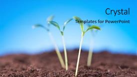  Presentation with green life - PPT theme having illustrating concept of new life background and a cyan colored foreground