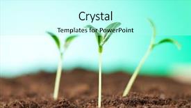  Presentation with seedling - Colorful PPT layouts enhanced with illustrating concept of new life backdrop and a cool aqua colored foreground