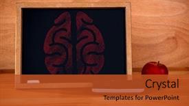  Presentation with human brain - Presentation enhanced with illustration image of human brain background and a red colored foreground