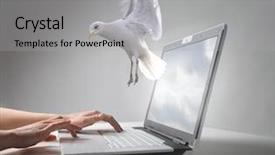  Presentation with dove - Slides having light fidelity - illustration of a dove flying background and a light gray colored foreground