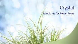  Presentation with summer winter autumn spring - PPT theme with ilustration - spring or summer background background and a sky blue colored foreground