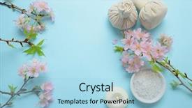  Presentation with cherry blossom - Slide deck enhanced with image compression - set of sakura cherry blossom background and a light blue colored foreground