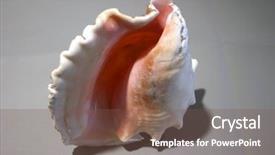  Presentation with mexico cancun - Amazing presentation theme having image for all your need backdrop and a  colored foreground