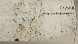  Presentation with concrete material - Cool new PPT layouts with hunting dog finnish spitz on the open air note shallow depth of field backdrop and a tawny brown colored foreground