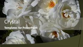  Presentation with iceburg - PPT layouts with image-of-6-beautiful-iceburg background and a  colored foreground