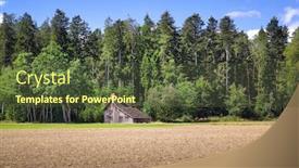  Presentation with hut - Amazing PPT layouts having image-of-a-black-forest backdrop and a tawny brown colored foreground