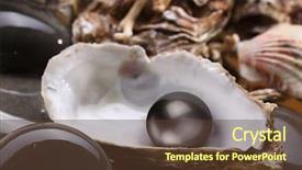  Presentation with pearl oyster - Presentation design having image of a black pearl background and a tawny brown colored foreground