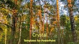  Presentation with forest road - Presentation theme with image-of-a-country-road background and a tawny brown colored foreground