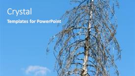  Presentation with global warming - Presentation having image-of-a-dry-tree background and a teal colored foreground