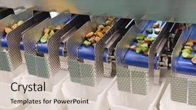  Presentation with disinfectant food - Amazing PPT layouts having image of a food separated backdrop and a soft green colored foreground