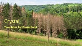  Presentation with forest - Amazing slide set having image-of-a-forest-dieback backdrop and a tawny brown colored foreground