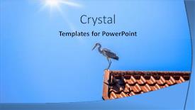  Presentation with roof - Presentation having image-of-a-heron background and a light gray colored foreground