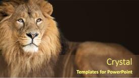  Presentation with lion king - Audience pleasing PPT layouts consisting of image of a lion king backdrop and a tawny brown colored foreground