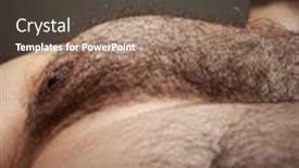  Presentation with chest - Colorful slides enhanced with image-of-a-males-hairy backdrop and a tawny brown colored foreground