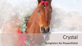  Presentation with red bow - Slide set enhanced with adorable baby girl in cute background and a cream colored foreground