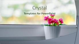  Presentation with growing up kids - PPT layouts having image of a rose growing in a pot on a windowsill background and a soft green colored foreground