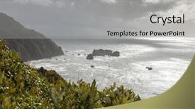  Presentation with new zealand silver fern black - Amazing slides having image of a rough coast backdrop and a  colored foreground