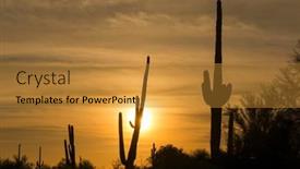  Presentation with arizona desert - Amazing PPT theme having image-of-a-saguaro-cactus backdrop and a gold colored foreground