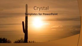  Presentation with arizona desert - Beautiful slide deck featuring image-of-a-saguaro-cactus backdrop and a coral colored foreground