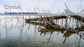  Presentation with bavaria - Theme consisting of image of a tree in the lake ostersee bavaria germany background and a sky blue colored foreground