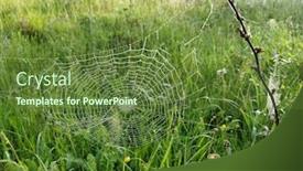  Presentation with web - Beautiful presentation theme featuring image-of-a-web backdrop and a tawny brown colored foreground