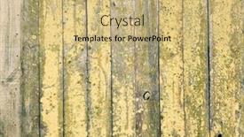  Presentation with lichen - Amazing presentation having image-of-a-wooden-wall backdrop and a coral colored foreground