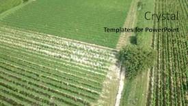  Presentation with vineyard - Cool new presentation with image of an aerial view of a vineyard in breisgau germany backdrop and a seafoam green colored foreground
