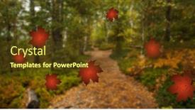  Presentation with autumn leaves falling - 