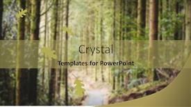  Presentation with thanksgiving - 