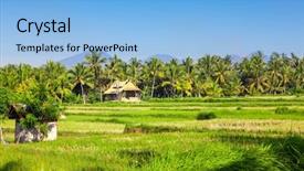  Presentation with bali - PPT theme with image of bali lush green background and a  colored foreground