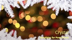  Presentation with fir tree - 