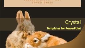  Presentation with celebration - Presentation design enhanced with image-of-easter-monday-text background and a tawny brown colored foreground